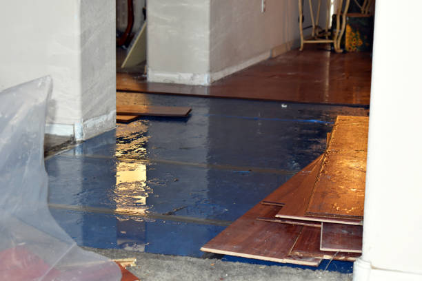 Professional Water Damage Restoration technician working in Hamilton, AL